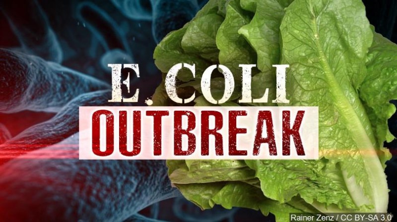 Romaine Lettuce From California Linked To Multistate E. Coli Outbreak